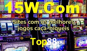 Premium Interface Top88